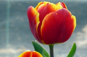 2017年全国篮球高水平后备人才基地U15女子北区比赛(辽宁大石桥)补充通知:m6最新官网(图1) m6最新官网