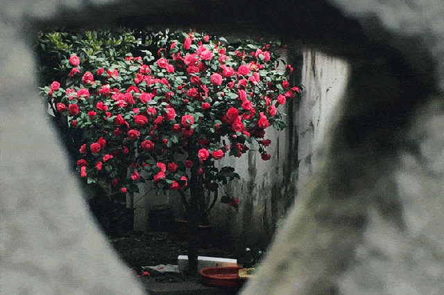 李宗祐其人:富商之子 有伤害前科|米乐M6(图3) 米乐M6