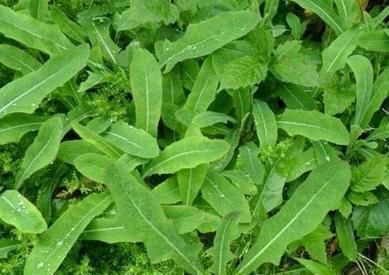 米乐M6官方入口