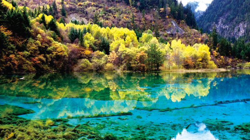 米乐M6官方入口