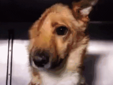 【米乐M6】广东男篮后卫陈江华宣布退役:伤痛不堪忍受 是时候道别了(图3) 米乐M6