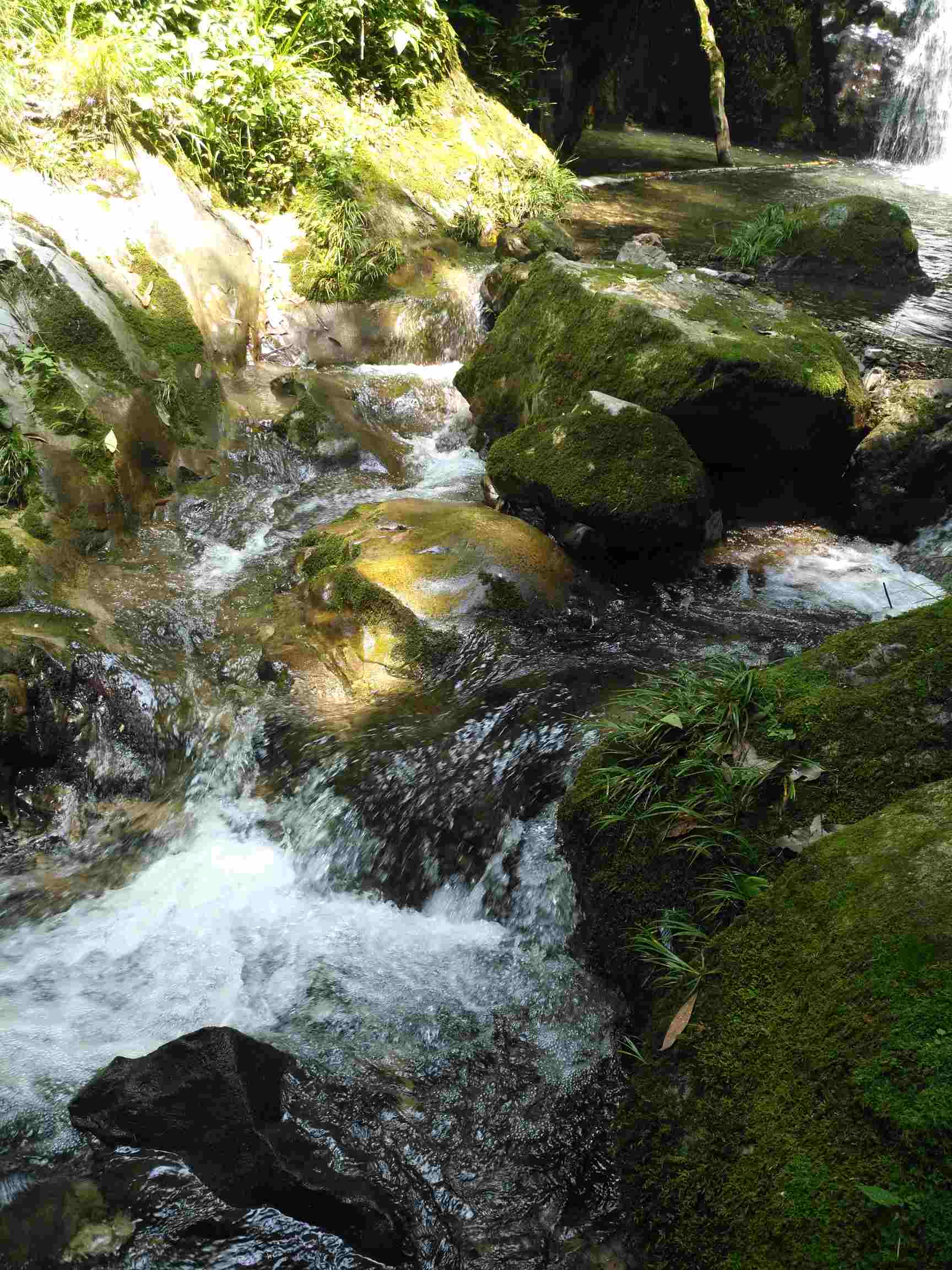 米乐M6_焦炭回调幅度有限操作上单边建议观望(图1) 米乐M6