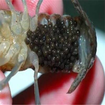 山东省106处煤矿中99处煤矿均安全恢复生产:米乐M6官方入口(图3) 米乐M6