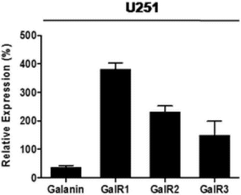 张韶涵开唱舞台大摔跤|米乐M6官方入口(图3) m6最新官网