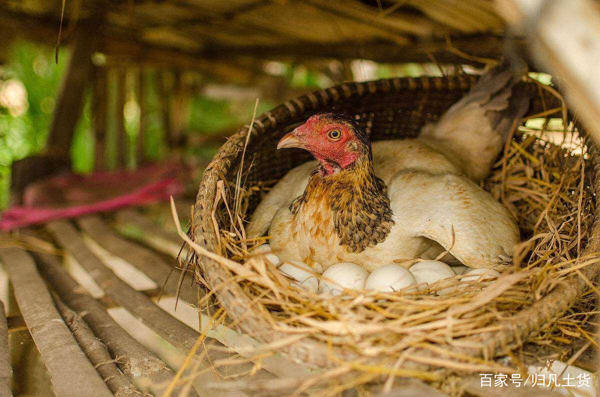 陕西榆林:推进煤炭优质产能释放,力保迎峰度夏电煤足量供应|米乐M6(图2) 米乐M6
