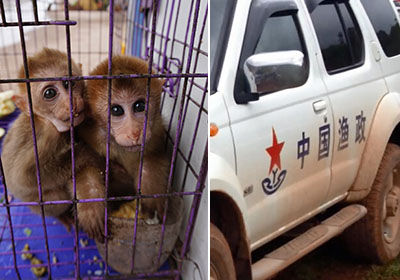 米乐M6-女星唐宁公布结婚喜讯 婚纱照曝光甜蜜爱情(图2) 米乐M6官方入口