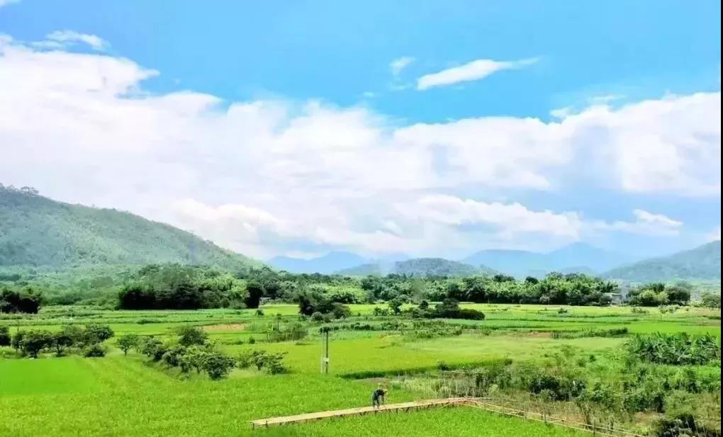 米乐M6官方入口-传TVB欲与四大唱片终极破冰 李克勤：未接通知