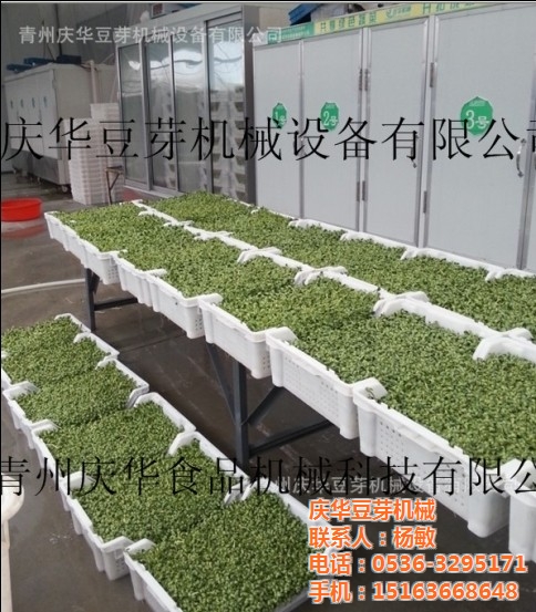 郭艾伦:想变成优秀的队员 还需求更波动的发扬【m6最新官网】(图2) 米乐M6