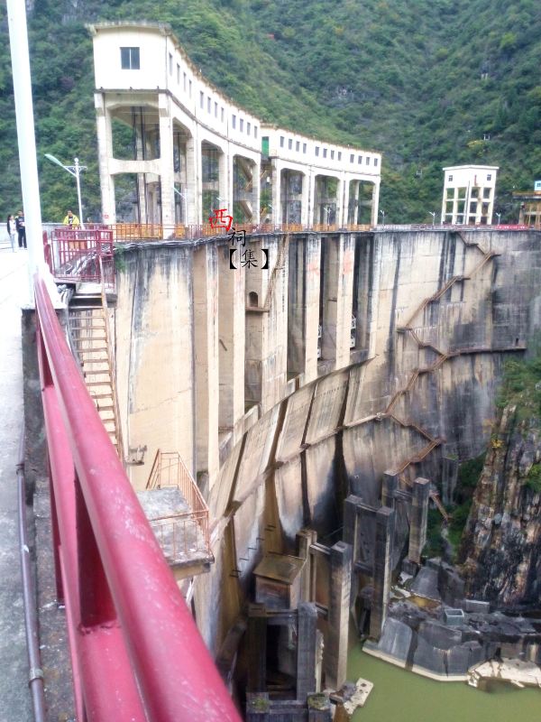 中国篮球协会关于组织2019年国奥女篮集训的函_m6最新官网(图1) 米乐M6官方入口