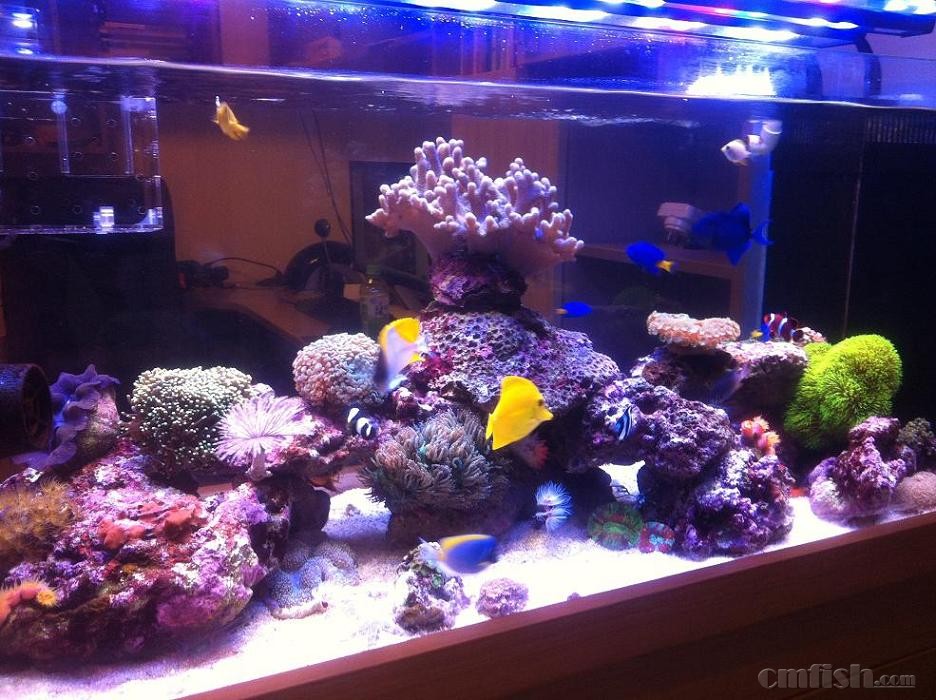 米乐M6官方入口