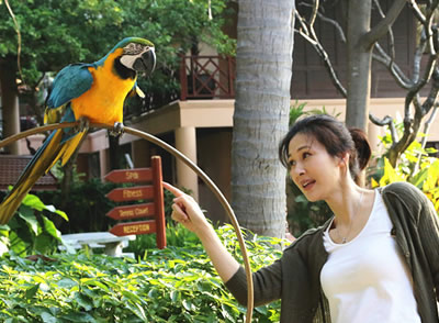 米乐M6官方入口