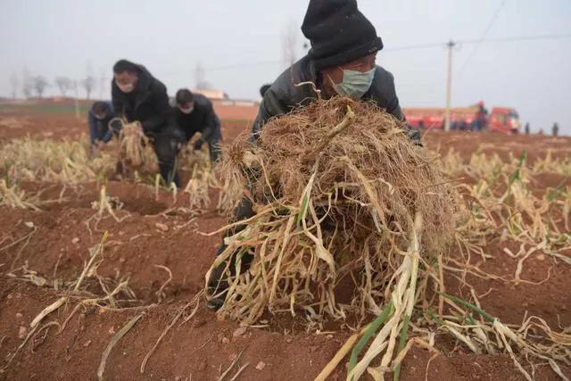 米乐M6官方入口