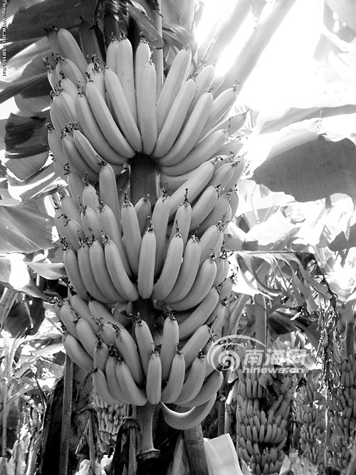 米乐M6官方入口