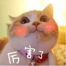 米乐M6官方入口-
PDF文件如何转换为TXT文本？教您一招高效转换的方法 (图17)