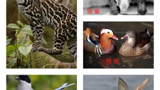 米乐M6官方入口