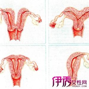 m6最新官网